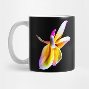 plumeria-flowers-dress-frangipani-floral-colorful-blossom-shirtyshirto-32 Mug